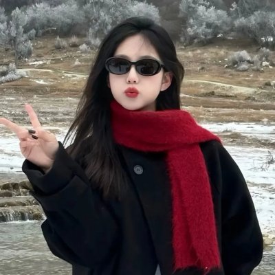 驯龙高手:归家海报
