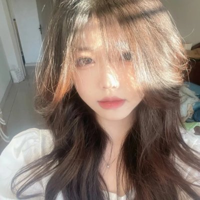看鸟人海报