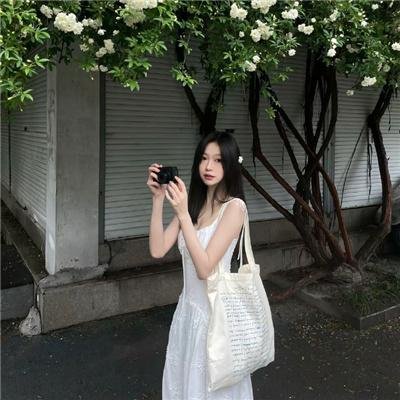 狂风飞絮海报